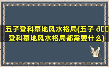 五子登科墓地风水格局(五子 🐝 登科墓地风水格局都需要什么)